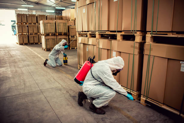 Best Pest Control Cost  in Jamul, CA