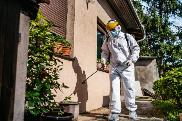 Best Flea Control Services  in Jamul, CA