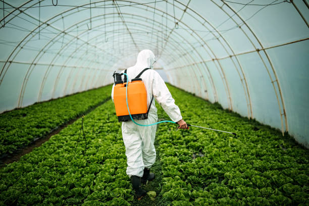 Best Pest Control Near Me  in Jamul, CA