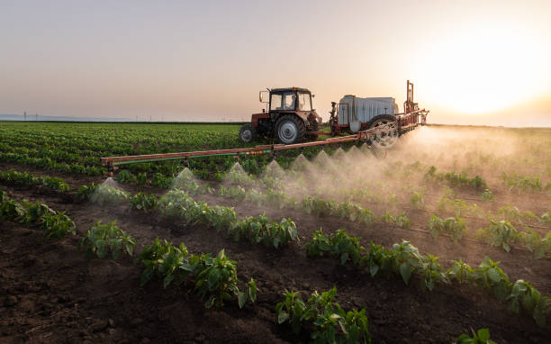 Best Commercial Pest Control Services  in Jamul, CA