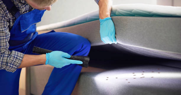 Best Cockroach Control Services  in Jamul, CA
