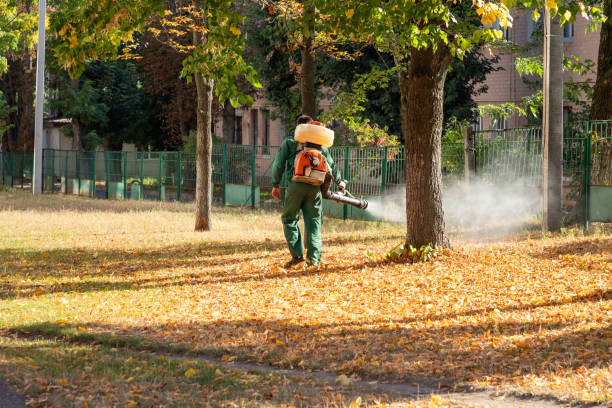 Best Pest Removal Services  in Jamul, CA