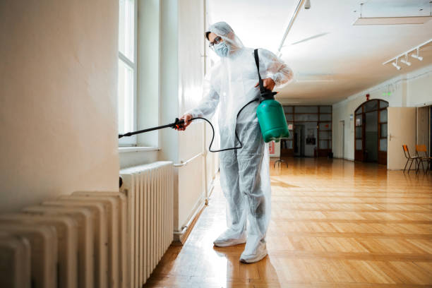 Best Residential Pest Control  in Jamul, CA