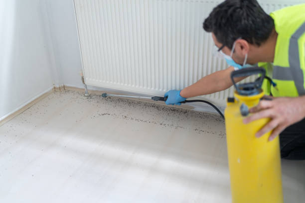 Best Affordable Pest Control Services  in Jamul, CA