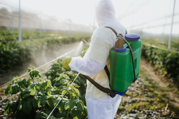 Best Emergency Pest Control  in Jamul, CA